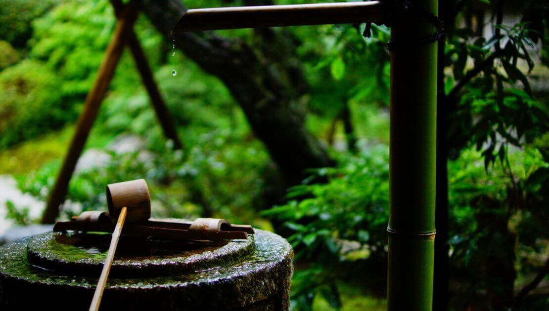 Zen_background for search inside yourself